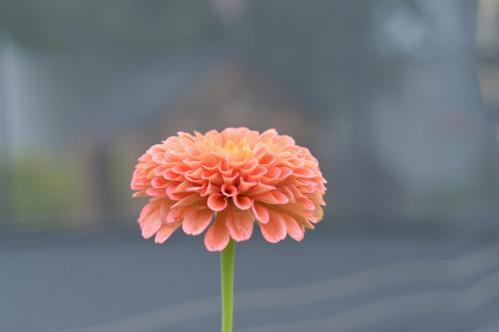 group_0411