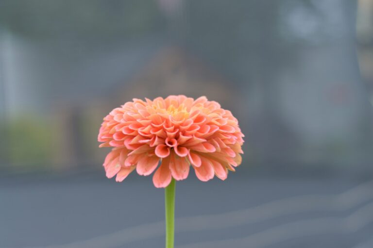 group_0411