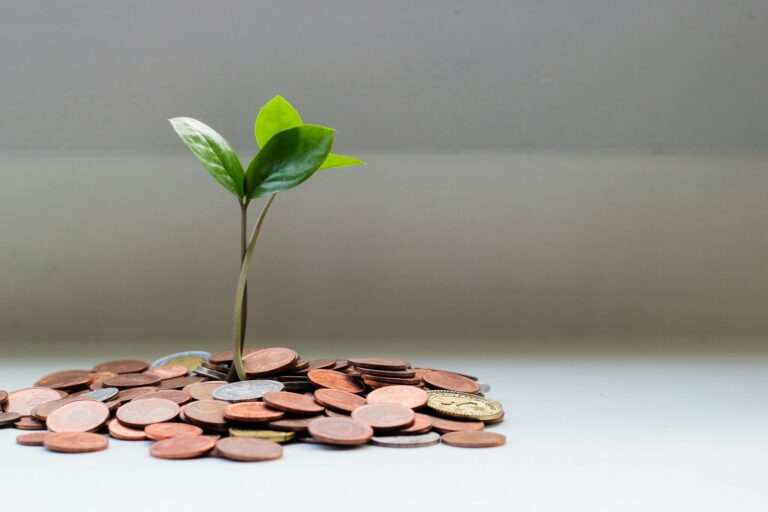 Business-Investment-Plan_0611