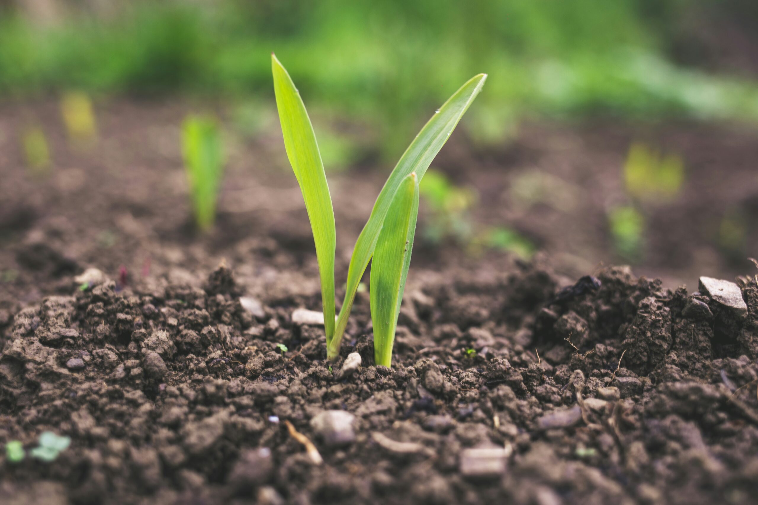 Regenerative Investing_1202
